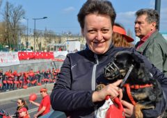 Maraton DOZ 2019 - kibic z psem
