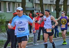Maraton DOZ 2019