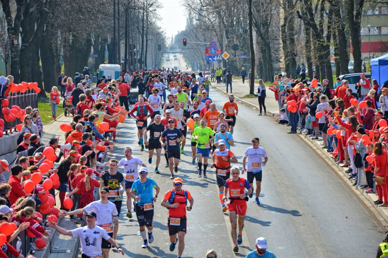 Maraton doz 2019