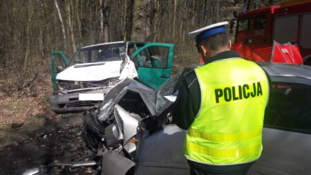Śmiertelny wypadek na Fabrycznej. Nie żyje 62-latka Śmiertelny wypadek w skierniewicach
