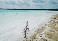 Polskie Malediwy na granicy Łódzkiego. Lazurowe jezioro i biała plaża 17 Lazurowe jezioro w przykonie
