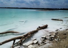 Polskie Malediwy na granicy Łódzkiego. Lazurowe jezioro i biała plaża 6 Lazurowe jezioro w przykonie