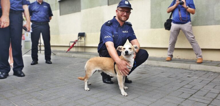 Pies policja