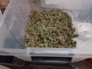 Marihuana lodz5