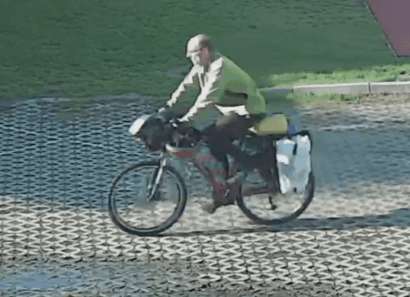 Pedofil zdunska 1