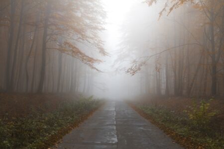 Autumn 1839969 1280