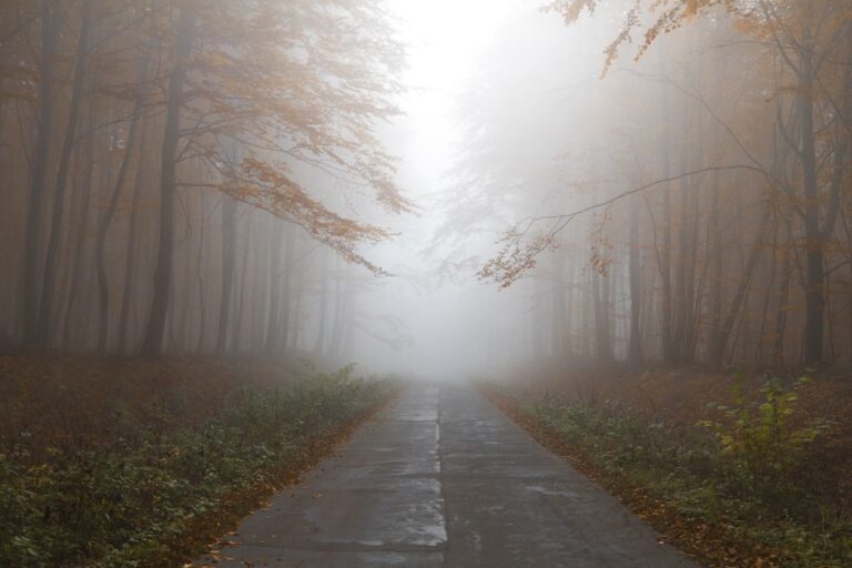 Autumn 1839969 1280