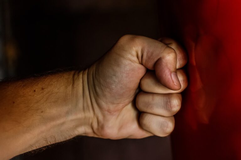 Fist 1561157 1280