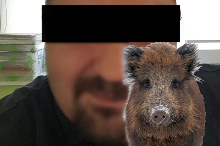 Myśliwy znęcał się nad zwierzętami