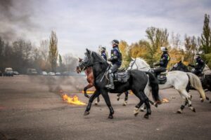 Atestacja koni 20191106 07
