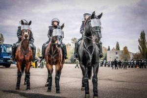 Atestacja koni 20191106 08