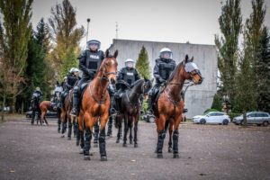 Atestacja koni 20191106 12