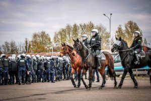 Atestacja koni 20191106 13