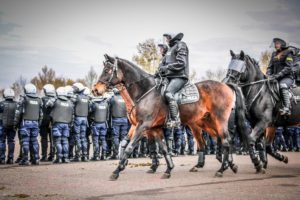 Atestacja koni 20191106 14