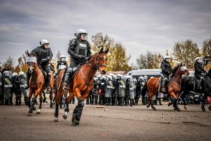 Atestacja koni 20191106 15