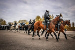 Atestacja koni 20191106 16