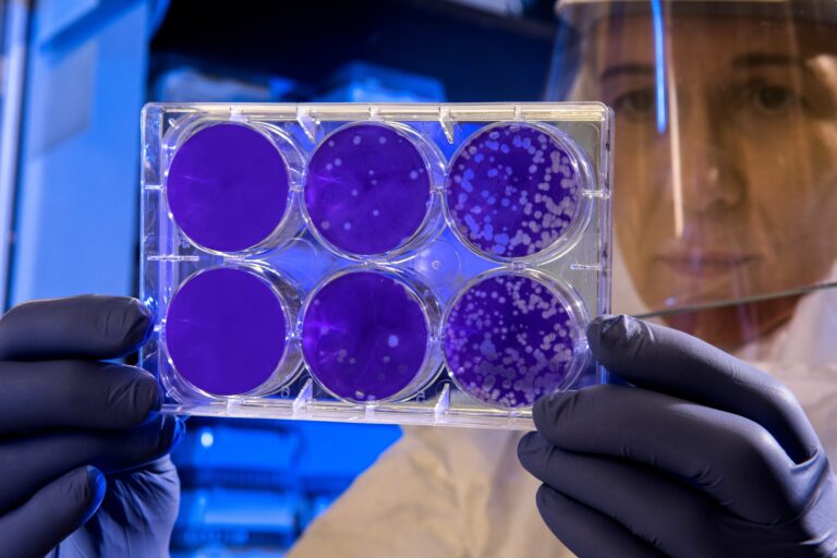 W laboratorium przeglądają wyniki testów wirusowych