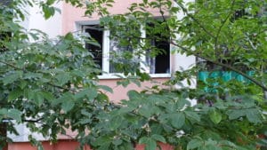Smiertelny pozar gogola 11