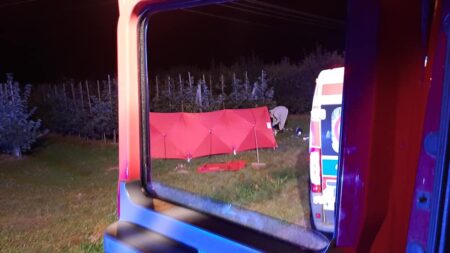Wypadek w wilczych piętkach
