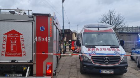 Strzelanina w brzezinach