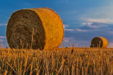 Fliz do słomy – przechowywanie idealne Fliz do słomy