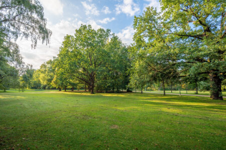 Park na żubardziu w łodzi