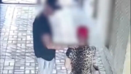 Metodą na policjanta wyłudzili pół miliona złotych