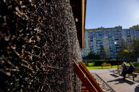 Łódź jak ciechocinek. Tężnie solankowe w łodzi ponownie otwarte