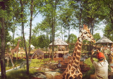 Zoo w łodzi. Sawanna