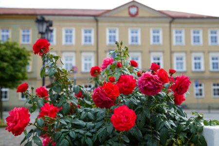 Wyniki wyborów w powiecie kutnowskim