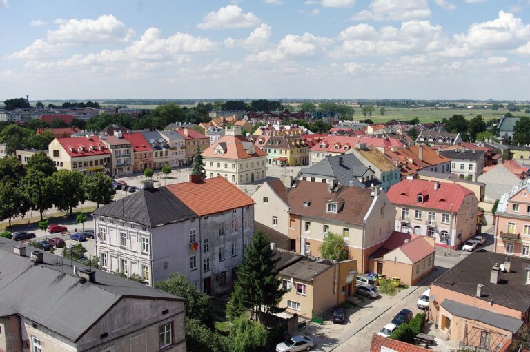 Wyniki wyborów w powiecie łęczyckim
