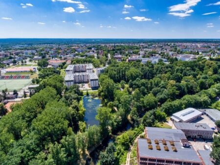 Wyniki wyborów w tomaszowskim