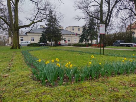 Wyniki wyborów zduńskowolski