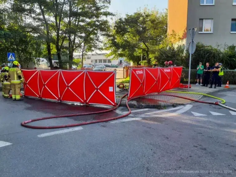 Pożar samochodu elektrycznego w skierniewicach