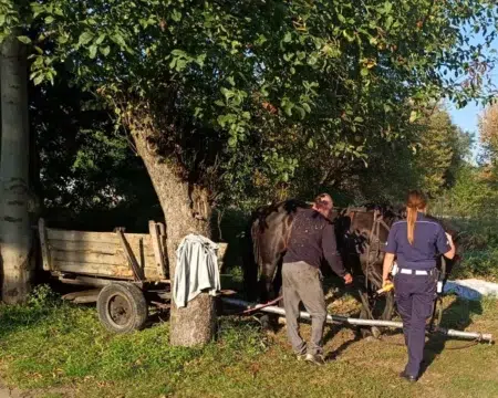 Pijany woźnica w zduńskiej woli
