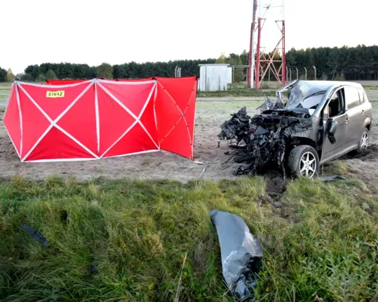 Zabójstwo w rząśni i samobójstwo w mierzynowie