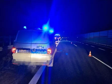 Wypadek na autostradzie A2. W miejscowości Wola Szydłowiecka zginął 75-letni pieszy Wypadek na a2 w miejscowości wola szydłowiecka