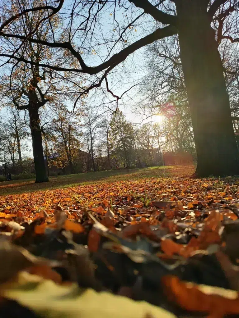 Park zrodliska