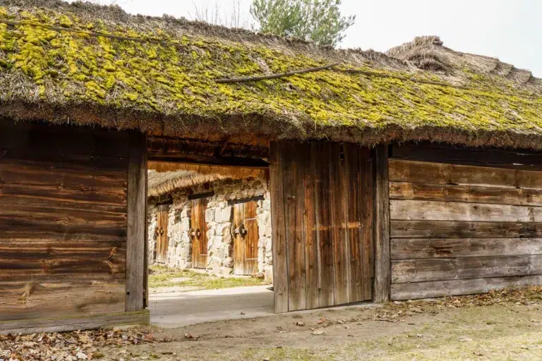SKansen w Maurzycach