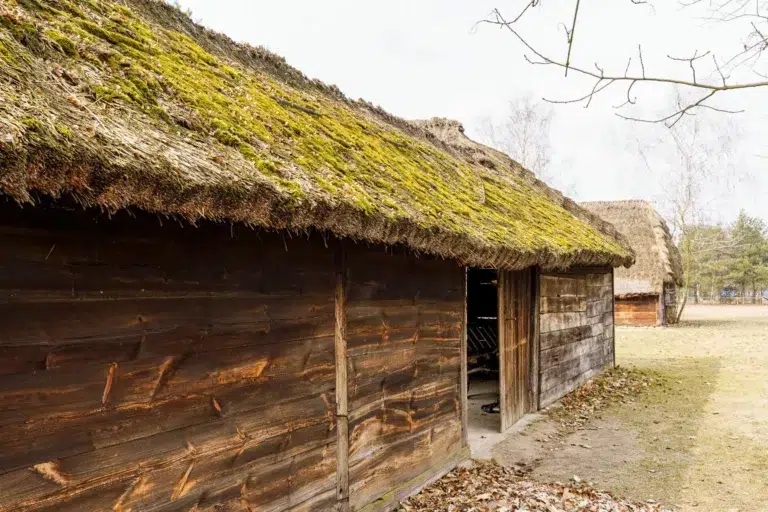 SKansen w Maurzycach
