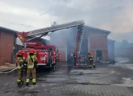 Pożar w małych końskich