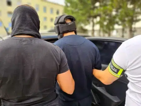 Wypuścili go ze szpitala i zabił babcię Geotermia w koluszkach - początek inwestycji