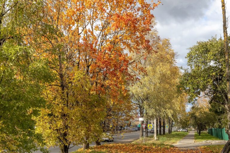 Prognoza pogody na środę 24 września
