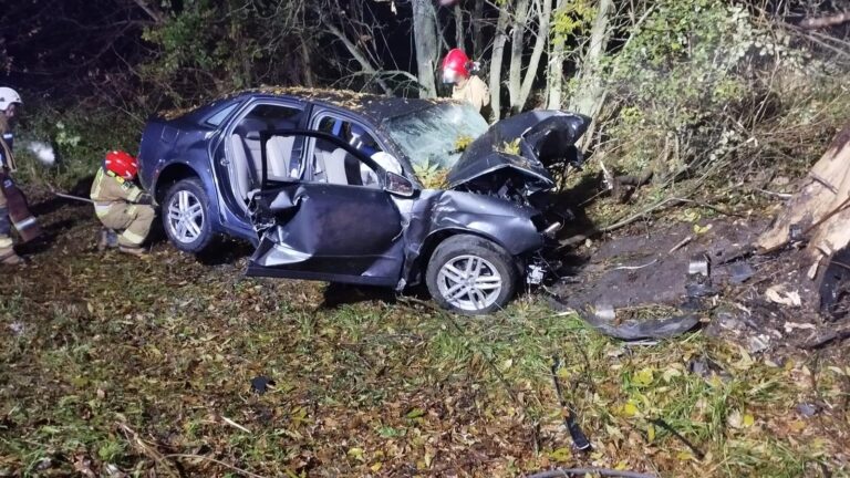 Śmiertelny wypadek w adamowie. Zginęła 29-latka