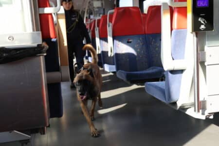 Ćwiczenia psów policyjnych w pociągu łka