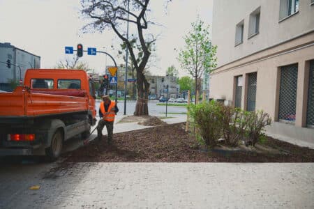 Na ulicy lutomierskiej w łodzi ma być zielono
