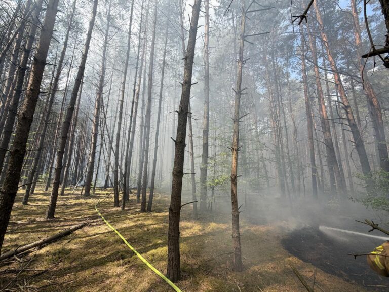Pożar lasu - Kurnos Drugi