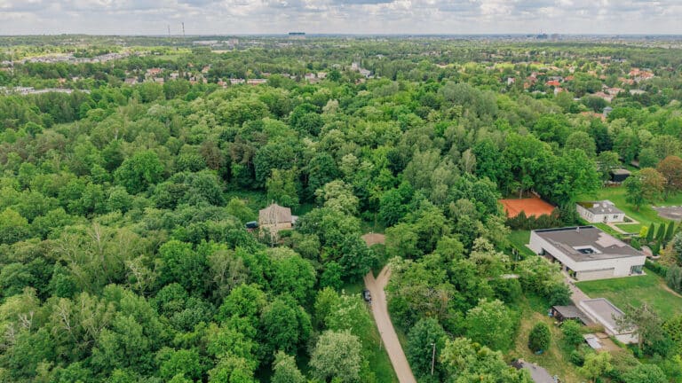 Las Łagiewnicki ma być bardziej dostępny dla łodzian