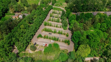 Las łagiewnicki ma być bardziej dostępny dla łodzian