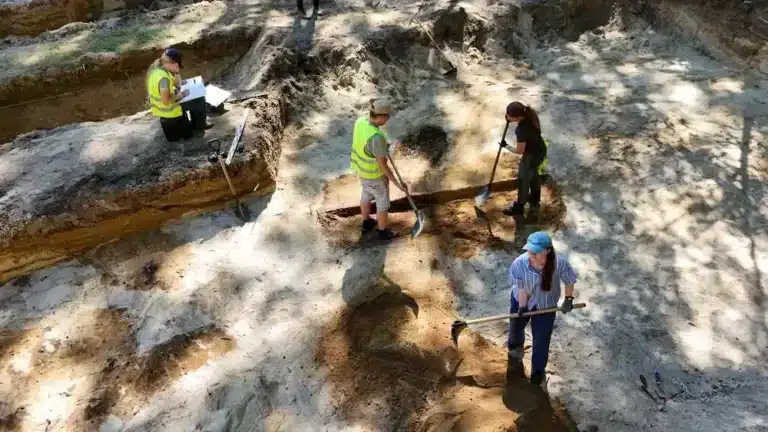 Badania archeologiczne na Brusie